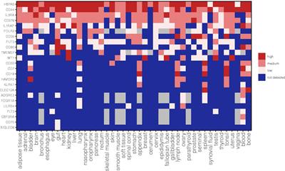 Targets for chimeric antigen receptor T-cell therapy of acute myeloid leukemia